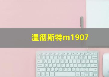 温彻斯特m1907