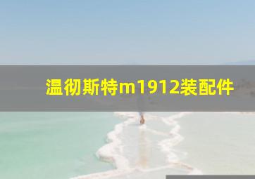 温彻斯特m1912装配件