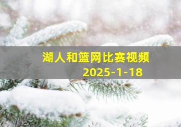 湖人和篮网比赛视频2025-1-18