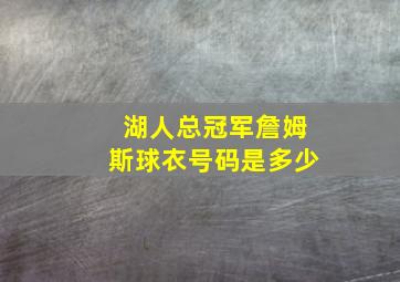 湖人总冠军詹姆斯球衣号码是多少