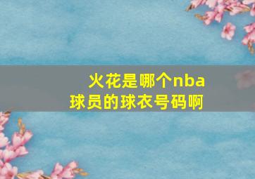 火花是哪个nba球员的球衣号码啊