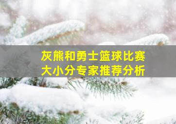 灰熊和勇士篮球比赛大小分专家推荐分析