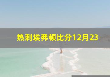 热刺埃弗顿比分12月23