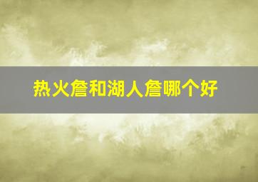 热火詹和湖人詹哪个好