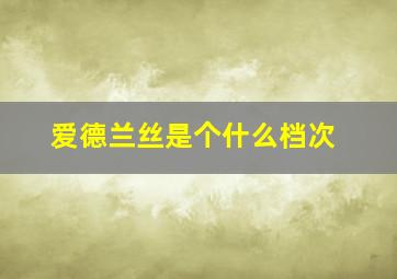 爱德兰丝是个什么档次