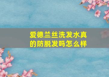 爱德兰丝洗发水真的防脱发吗怎么样