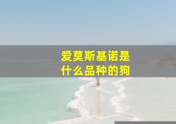 爱莫斯基诺是什么品种的狗