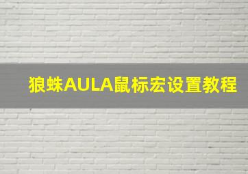 狼蛛AULA鼠标宏设置教程