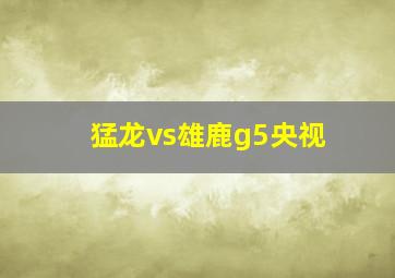 猛龙vs雄鹿g5央视