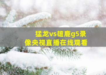 猛龙vs雄鹿g5录像央视直播在线观看