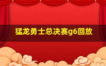 猛龙勇士总决赛g6回放