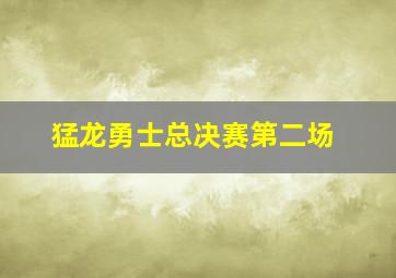 猛龙勇士总决赛第二场