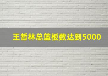 王哲林总篮板数达到5000