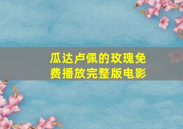 瓜达卢佩的玫瑰免费播放完整版电影