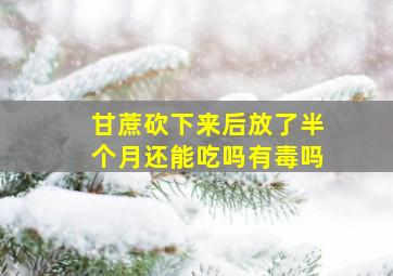 甘蔗砍下来后放了半个月还能吃吗有毒吗