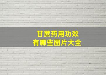 甘蔗药用功效有哪些图片大全