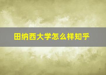 田纳西大学怎么样知乎