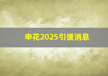 申花2025引援消息