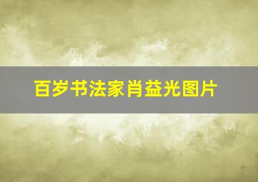 百岁书法家肖益光图片