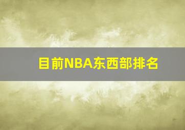 目前NBA东西部排名