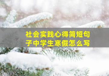 社会实践心得简短句子中学生寒假怎么写