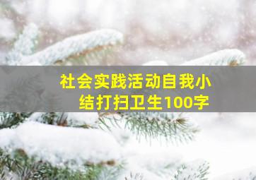 社会实践活动自我小结打扫卫生100字