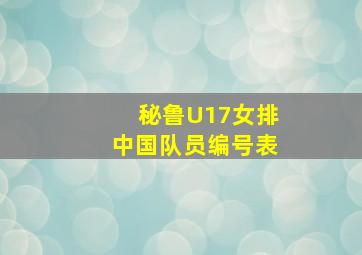 秘鲁U17女排中国队员编号表