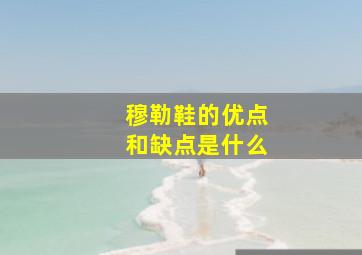 穆勒鞋的优点和缺点是什么