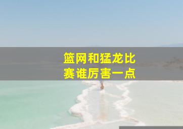 篮网和猛龙比赛谁厉害一点