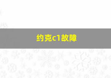 约克c1故障