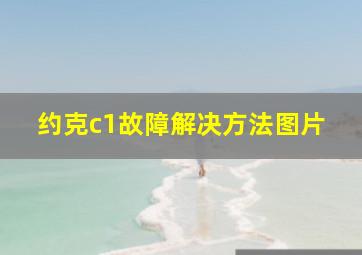 约克c1故障解决方法图片