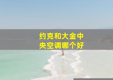 约克和大金中央空调哪个好