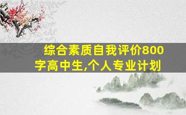 综合素质自我评价800字高中生,个人专业计划