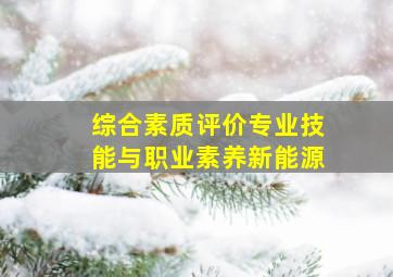 综合素质评价专业技能与职业素养新能源