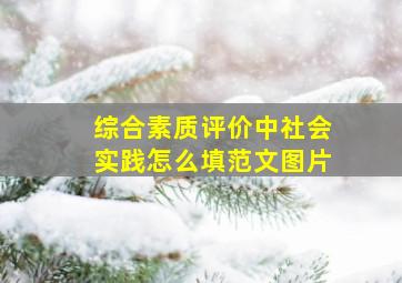 综合素质评价中社会实践怎么填范文图片