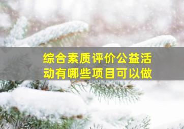 综合素质评价公益活动有哪些项目可以做