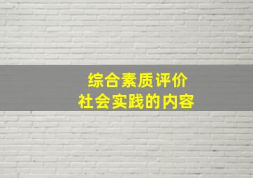 综合素质评价社会实践的内容