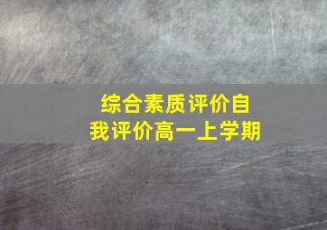 综合素质评价自我评价高一上学期