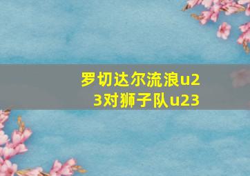 罗切达尔流浪u23对狮子队u23