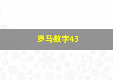 罗马数字43