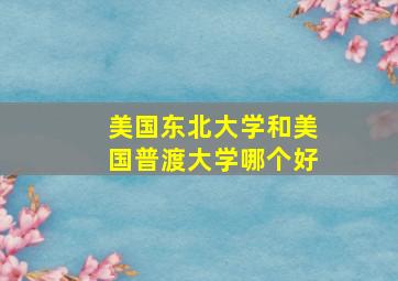 美国东北大学和美国普渡大学哪个好