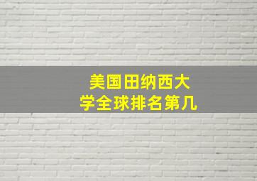 美国田纳西大学全球排名第几