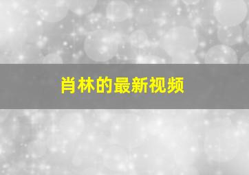 肖林的最新视频