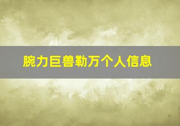 腕力巨兽勒万个人信息