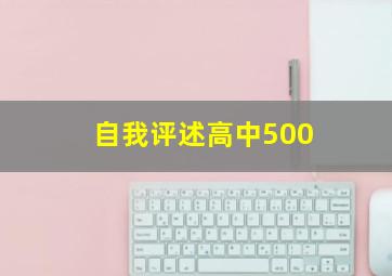 自我评述高中500