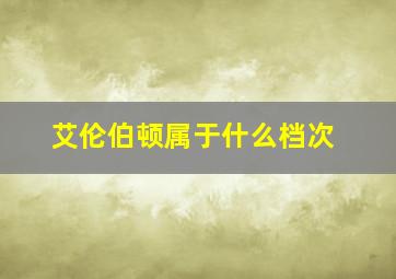 艾伦伯顿属于什么档次