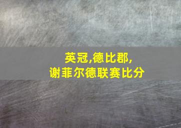 英冠,德比郡,谢菲尔德联赛比分