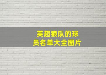 英超狼队的球员名单大全图片