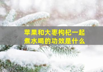 苹果和大枣枸杞一起煮水喝的功效是什么