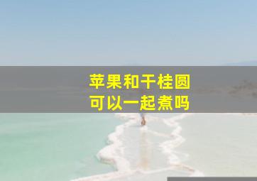 苹果和干桂圆可以一起煮吗